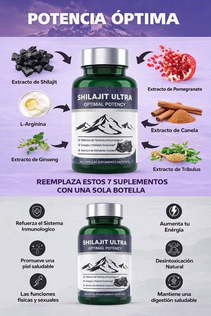 Shilajit 60X Power Max suplemento para potenciar  tu cuerpo